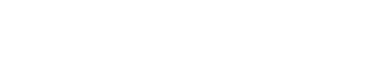 Pundito